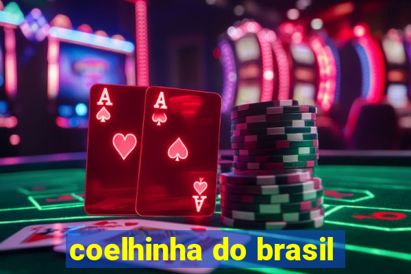 coelhinha do brasil